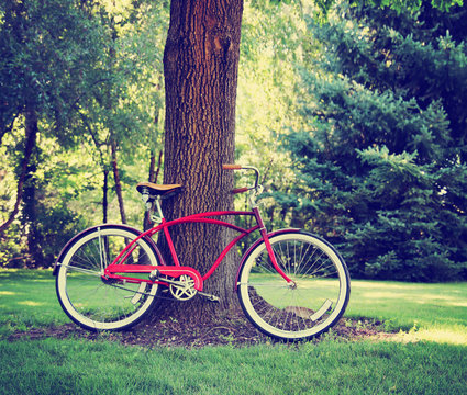 vintage bike against a tree