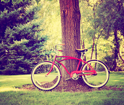 vintage bike against a tree