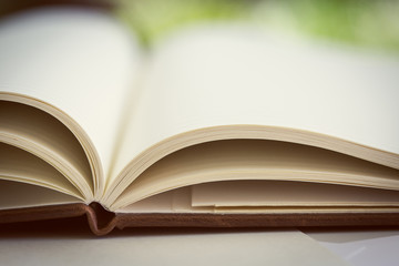 Close up on open book pages.Toned.