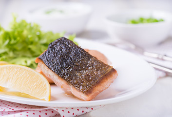 Grilled red fish fillet