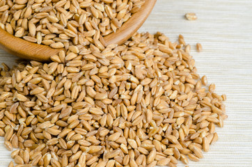 spelt on table cloth, close up