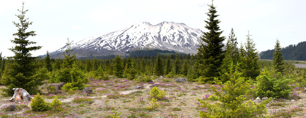 Fototapeta premium Mount Saint Helens