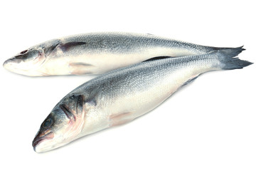 Fresh seabass fish isolated on white