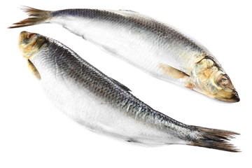 Fresh fish isolated on white