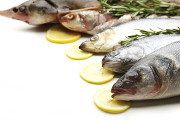Fresh fish with lemon and rosemary close-up