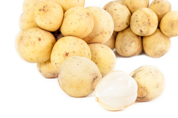 Lansium parasiticum (syn. Lansium domesticum)