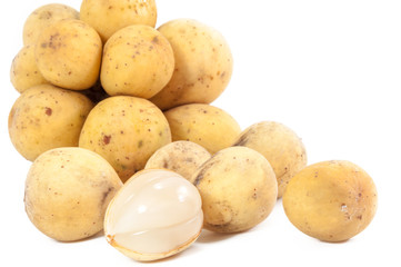 Lansium parasiticum (syn. Lansium domesticum)