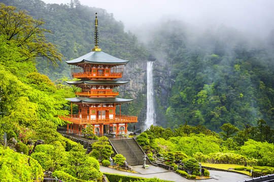 Fototapeta Nachi, Japan Pagoda and Waterfall