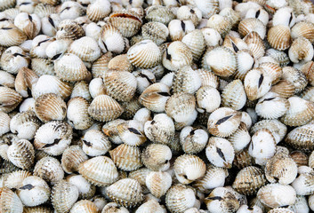 The edible cockle stack