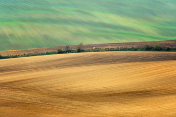 Morawy, krajobraz wiejski, uprawa pól © janmiko
