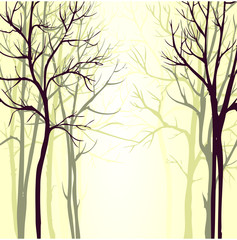 Vector background with trees