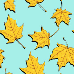 seamless pattern with leaves of maple