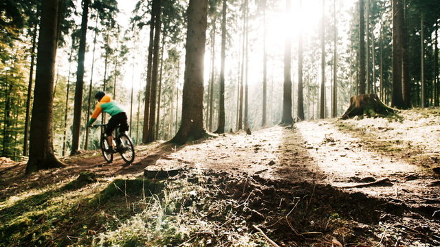 Mountain Biker Riding On Forest Track in slow motion
