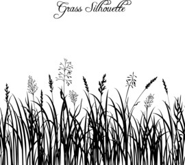 Silhouettes of grass