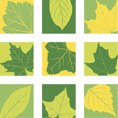 set of icons with leaves