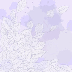 Fototapeta na wymiar Floral composirion with leaves