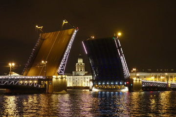 Naklejka na ściany i meble The Palace Bridge in St Petersburg Russia