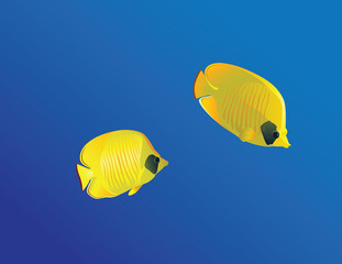 Naklejka premium Masced Butterfly fish
