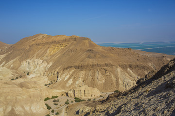 Dead sea landscape