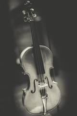 Fototapeta premium antique violin