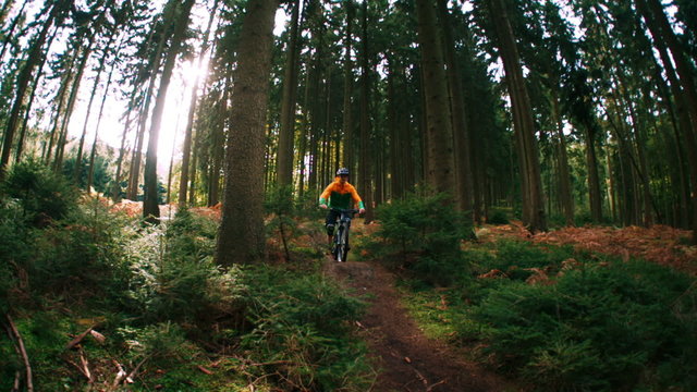 Mountain biker rides over ramp in slow motion in woods