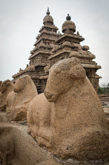 Five rathas complex with  in Mamallapuram, Tamil Nadu, India