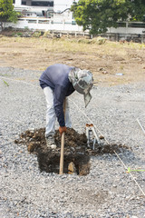 Worker  to dig a hole.
