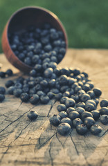 Fresh blueberries
