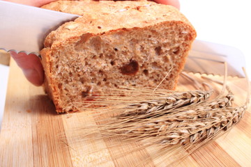 Hand of woman slicing fresh bread, ears of wheat