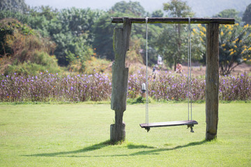 playground swing made wood hanging in green grass field