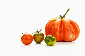 Ochsenherztomaten und Cocktailtomaten
