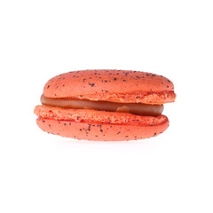 macaron sweet tasty dessert