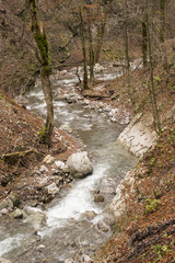 beautiful stream in gorski kotar