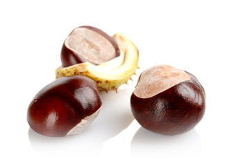 Closeup shot few chestnuts isolated on white background