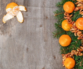 space for text with fir branches and tangerines