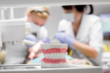 Artificial jaw in the dental office