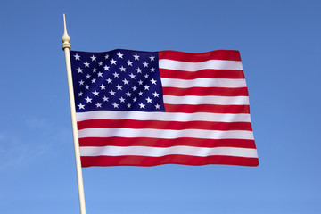 Flag of the United States of America