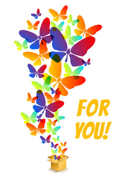 butterflies