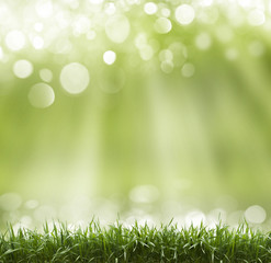 Spring abstract  background