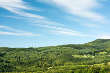 Fototapeta na wymiar Carpathian Mountains Forest View With Blue Summer Sky