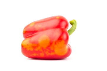 Fresh sweet pepper