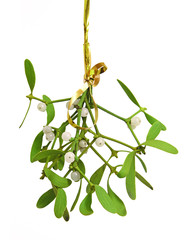 bouquet de gui