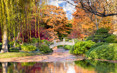 Moon Bridge in the Japanese Gardens