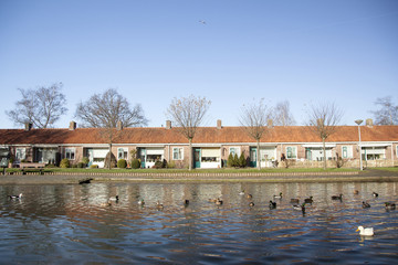 housing for old people in holland