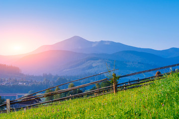 Colorful summer landscape