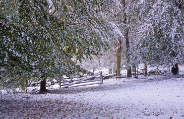 First snowfall at fall