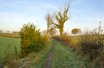 Fototapeta na wymiar Track along meadow at sunrise in autumn