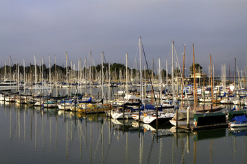 Fototapeta na wymiar Marina de Berkeley, Californie