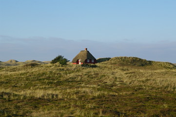 Reetdachhaus in Dänemarks Jütland 3