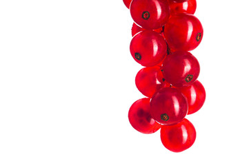 Johannisbeeren